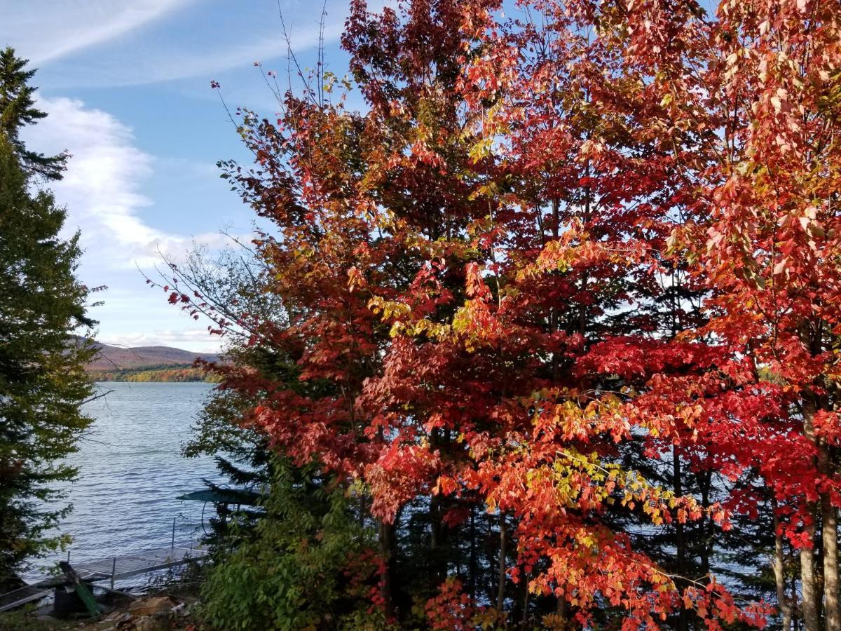 La Parade Du Huard - Lac Et Spa Saint Sebastien Екстериор снимка